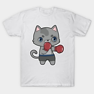 Cat at Boxing with Boxing gloves T-Shirt